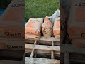 Prix du ciment : 12,5 % d'augmentation !