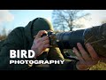 GREAT CRESTED GREBE at the HARBOUR || BIRD PHOTOGRAPHY, NO HIDE