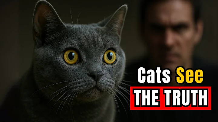 DON’T Ignore This! Your Cat Knows Who’s Bad (+ Hidden Abilities That Will Shock You)