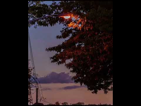 [Cover] 헌정연서 - Winter 