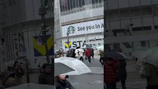 Shibuya scramble crossing