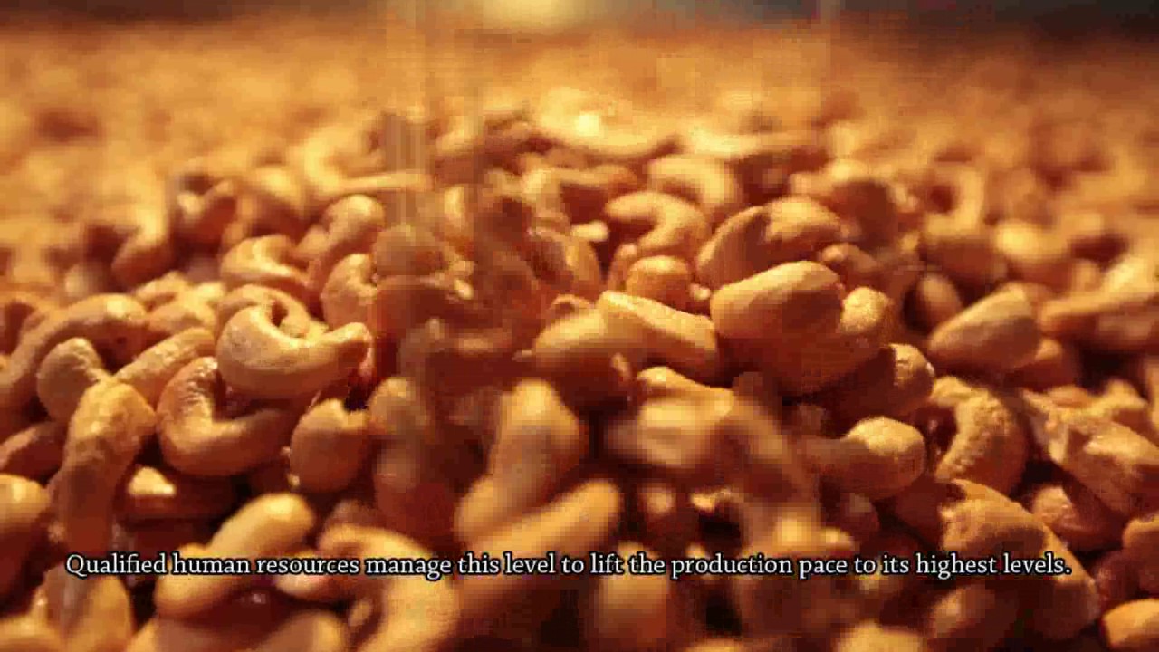BAJA Food Industries Co YouTube BAJA Food Industries Co YouTube