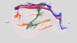 Processing sketch + visual art Wealth