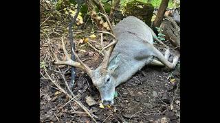 2026 PA Bruiser Buck with the TRADITIONAL BOW!!