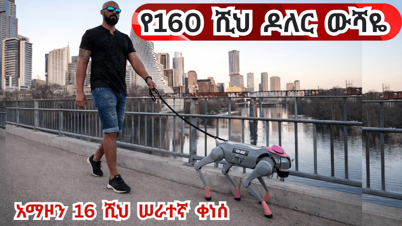 ከሰው ይልቅ ሮቦት እየበለጡን፣እየቀረቡን ነው? Amazon laid off 16,000 employees