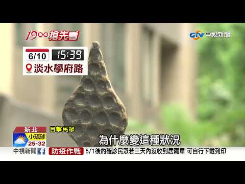 叫傳播妹狂歡卻"賴帳檯費" 男遭惡煞"打到手骨折"│中視新聞 20220611