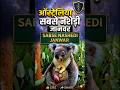 ऑस्ट्रेलिया का सबसे सुस्त और नशे में रहने वाला जानवर | Koala** #information #animalfacts #koala 🤯