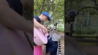 Download Lagu He came running 😭❤️‍🩹 MP3