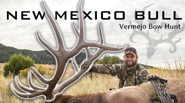 7X6 New Mexico Elk Hunt! Waddell's Vermejo Archery Bull