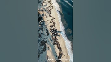 D&D | Driftshore Part 6 No Grid | Animated Battle Maps