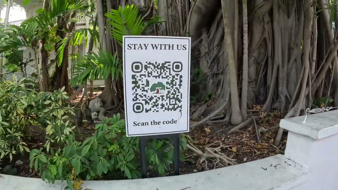 The Banyan Resort … The Tree 🌲