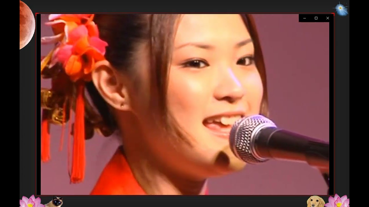 星の世界 ティンク ティンク Shazam