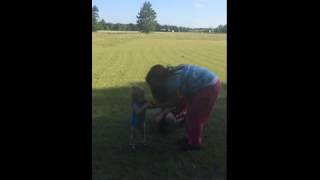 Young Girl Throws Baby Chick into Box