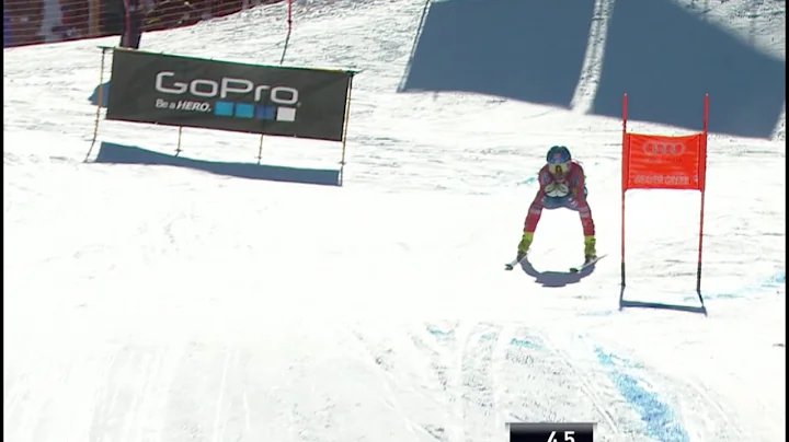 Nyman - 15th DH - 2015 Audi Birds of Prey