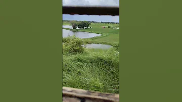 Yah Pyar Ka Mausam Aaya Trending Hindi Love Song 