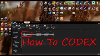How To Install Codex Games