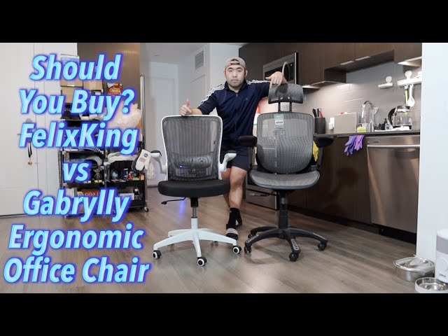 Gabrylly Mesh vs Sihoo M18 Ergonomic Office Chair – Which one is