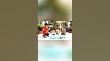 Capy cùng anh giúp bà tắm cho con Garamararamararaman dan Madudungdung và cái kết #capybara