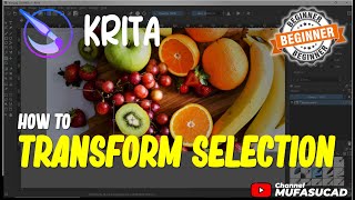 Celebrity Krita How To Transform Selection Profile