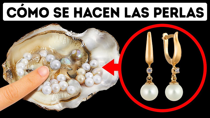 Las ostras hacen perlas para sobrevivir, he aquí el porqué