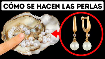 ¿Cuántos años tarda una ostra en formar una perla?