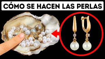 ¿Cuántas perlas hay en una ostra?