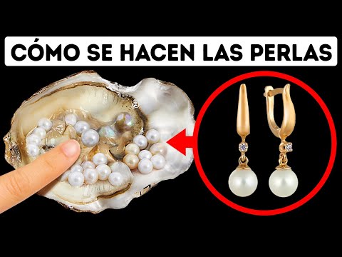 Video: ¿Por qué las conchas hacen perlas?