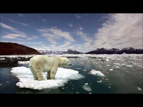 ვიდეო, რომლის ყურება გაგიჭირდებათ!