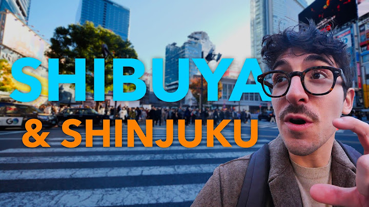 les meilleurs quartiers de Tokyo : SHIBUYA et SHINJUKU - vlog japon