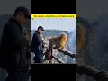 ऐसे ANIMAL जो दूसरों के बच्चों की देखभाल करते है #shorts