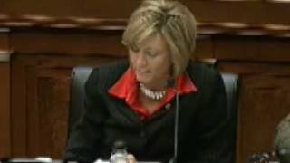 January 22, 2009 Markup - Rep. Sutton Opening Statement