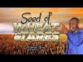 SEED OF WHEAT AND TARES SERMON BY EVANGELIST AWUSI