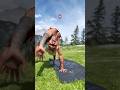 DID YOU SEE IT рџђЌ Banff DID YOU SEE IT рџђЌ Banff