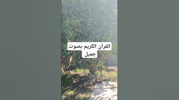 القرآن الكريم بصوت جميل #explore #قرانكريم #قران_كريم #لايك #قران #قرآن #تيك_توك #quran #اكسبلور