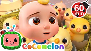 Numbers Song With Little Chicks 🐣 | Cocomelon | Kids Learn! | Nursery Rhymes | Sing Along