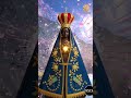 Nossa Senhora Aparecida - Quando a força já não da conta #nscm #nossasenhoracuidademim