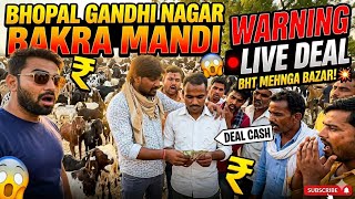 Bhopal Gandhi Nagar Bakra Mandi: LIVE DEAL 💸 Rate Sunke Sab Dang! 😱 | ITNA MEHNGA BAZAR? 🤯