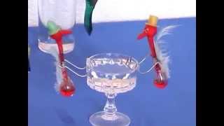Drinking Birds