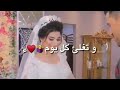 احلى اغنية محمد فارس زفوني زفوني حبيبي الكلب أبو تاج 