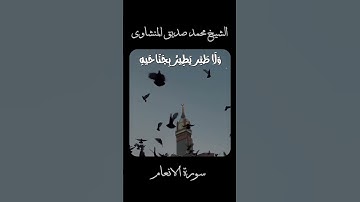 وَما مِن دابَّةٍ فِي الأَرضِ وَلا طائِرٍ | الشيخ المنشاوي | سورة الأنعام #اكسبلور#المنشاوي #قرآن