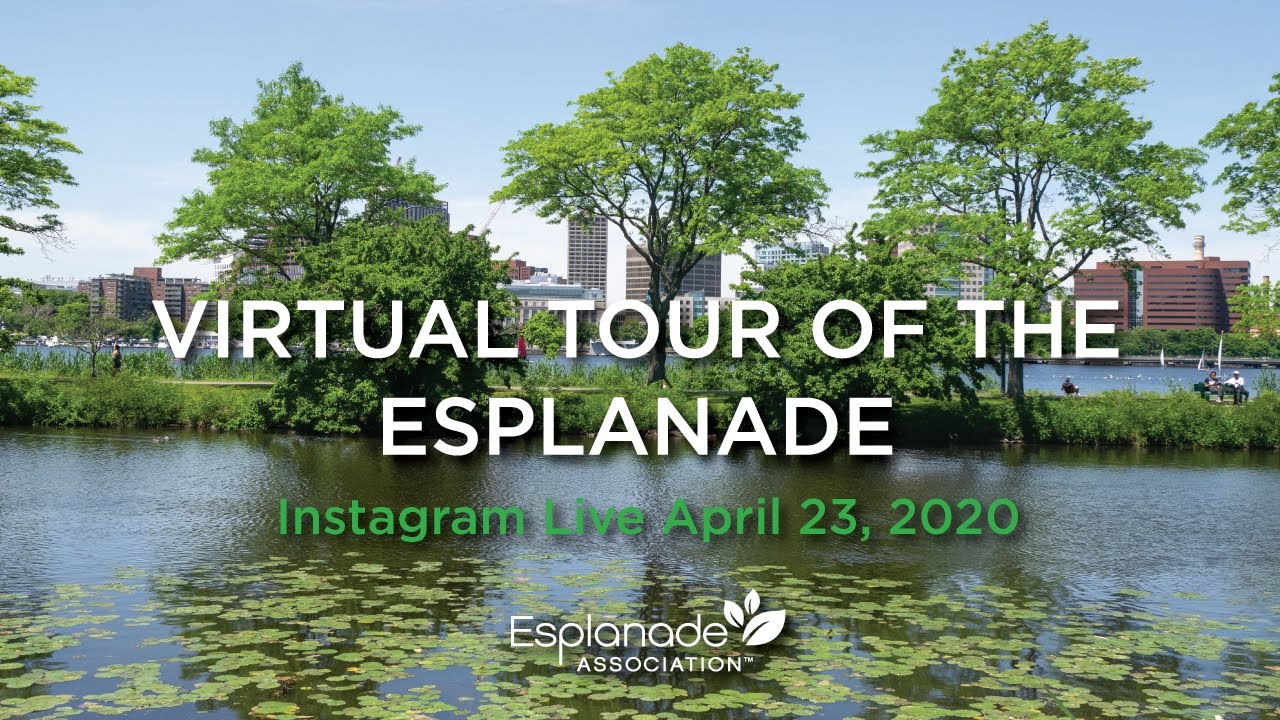Virtual Tour of the Esplanade