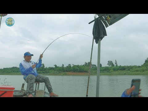 CÂU CÁ HỒ TRỊ AN - CÂU CÁ HOÀNG ĐẾ - DU CÂU MIỀN NAM