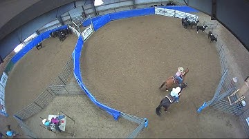 Big Sky Ranch Sorting Saddle Series #5 - #9 - Round #1 - Ride #4