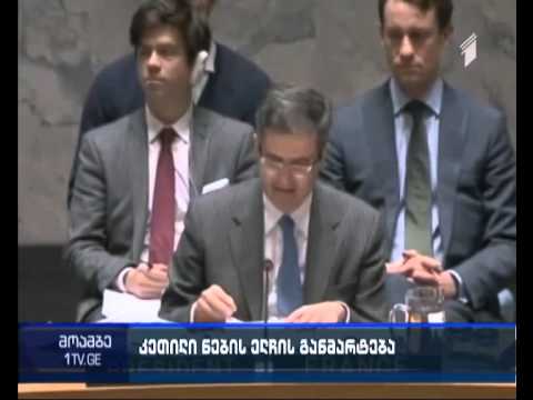 ანჯელინა ჯოლი გაეროს უშიშროების საბჭოს სხდომაზე სიტყვით გამოვიდა