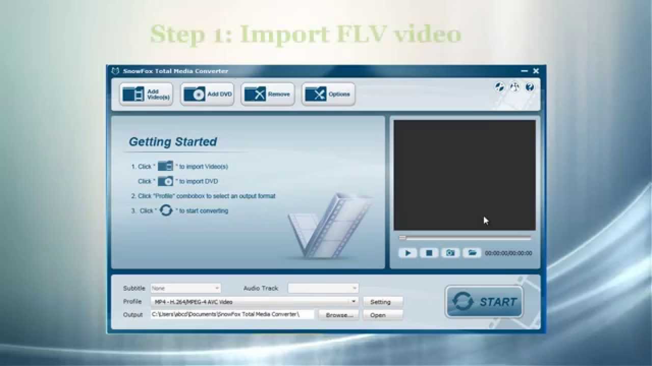 FLV to MP4 video converter how to convert FLV format