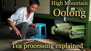 High Mountain Oolong: the most insane tea ever made