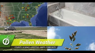 Grass Pollen Allergies: Monday June 29, 2020