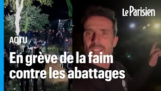 Autoroute A69 : des platanes abattus en pleine nuit, tensions entre gendarmes et opposants