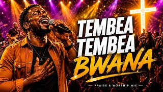 Yesu Nipeleke kule kwa Baba /Tembea Bwana / Niseme nini /Ameniona - Powerful Swahili Praise SongsMix