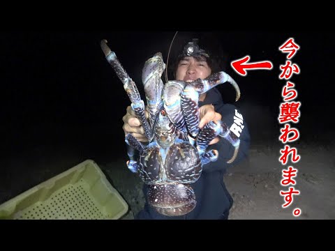 【#4】食べたい、、無人島で『超巨大ヤシガニ』に素手で挑んだら襲われる男！【秒速したくサバイバル】